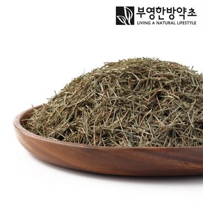 부영한방약초 국산 솔잎, 600g 1개, 1개, 600g