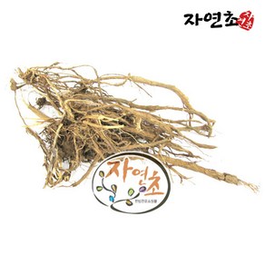 국산 한속단 차 속단뿌리 300g 속단, 1개