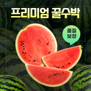 [당도선별/못난이아님] 국내산 초고당도 정품 하우스 수박 꿀수박, 1개, 가정용 수박 3kg