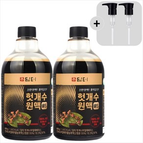 담터 헛개수원액 골드850gx2개+전용펌프2개증정, 2개, 850g