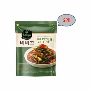 CJ제일제당 쏘울푸드 비비고 열무김치 400g 완내스 발효식품 간편식 캠핑요리 김장재료 도시락반찬 풍미업, 2개