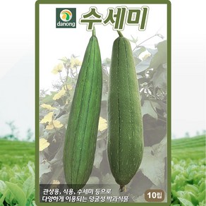 다농 수세미 씨앗 10립 수세미씨 덩굴성 박과 식물 종자, 1개