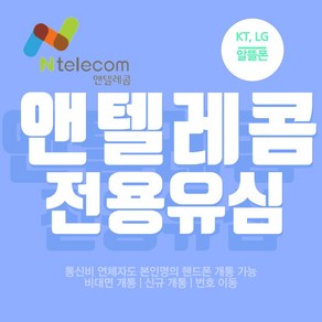 앤텔레콤 알뜰폰 (LG KT) 선불 유심 후불 유심 데이터 무제한 요금제 USIM, KT 유심, 1개