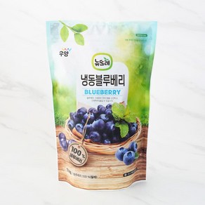 [메가마트]뉴뜨레 블루베리 (칠레) 1kg, 뉴뜨레 냉동블루베리홀 1kg 칠레산, 1개