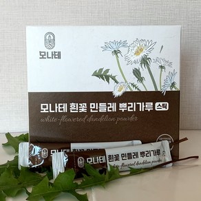 모나테 흰꽃 민들레 뿌리가루 스틱 / 국내산 민들레 뿌리 100% 분말, 1박스, 60g