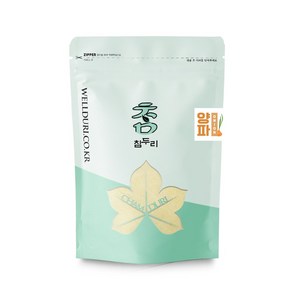 참두리 국산 양파가루 분말, 1개, 500g