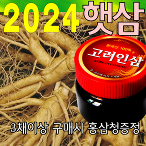 금산인삼아줌마 인삼 (1호)잔난발삼 750g 산지에서 발송 가정용 수삼