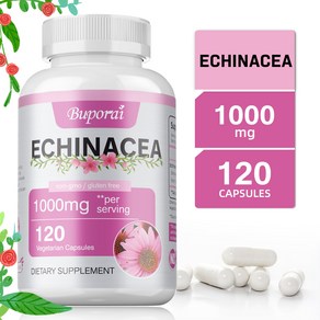 에키나세아 추출물 캡슐 1000mg  허브 보충제  채식주의 글루텐 없음 비GMO, 1개, 30정