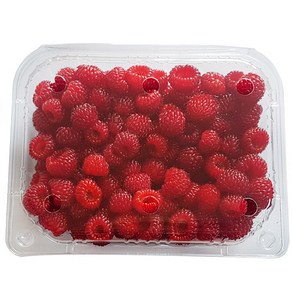 국내산 산딸기, 1개, 250g