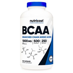 뉴트리코스트 BCAA 1g 캡슐 글루텐 프리, 500정, 1개