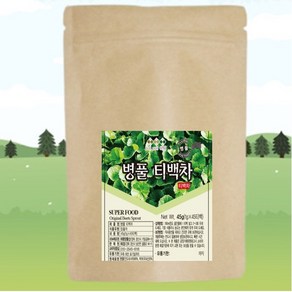 병풀 호랑이 풀 인도네시아 자연산 몸에 좋은 신비한 TEA 수제 티백형 건강차 45g, 병풀 호랑이 풀  티백형 건강차 45g1봉지, 1g, 1개, 45개입