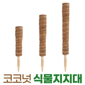 코코넛 식물 지지대 지주대 수태봉 넝쿨 몬스테라 원예, 코코넛지지대-40cm, 1개