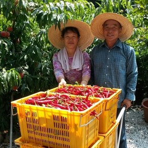 국내산고춧가루 햇고춧가루 하우스고추 세척 고추가루 3kg, 안동 햇고춧가루 3kg, 1개