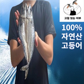 [100% 국내산] 청정해역 손질된 자연산 고등어 구이/조림용, 1개, 200g