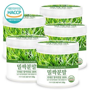 푸른들판 국산 밀싹 분말 가루 100% HACCP 인증 밀새싹 밀순 밀싹순 파우더, 100g, 5개