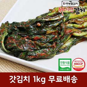 한국농협김치 국산 재료 진안 마이산 갓김치 1kg, 1개