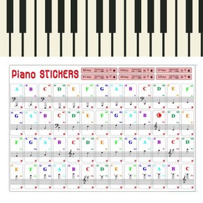 피아노 코드표 계이름 스티커 피아노 건반스티커 컬소, 1개
