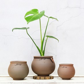 토분 오리지널빈티지 엔젤팟 대 인테리어화분 화분선물, 1개