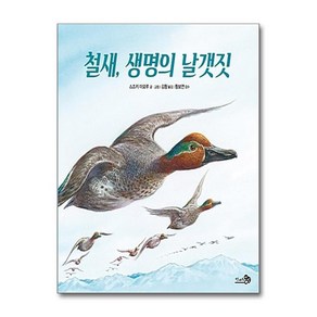 철새 생명의 날갯짓 (바람 그림책 70) (양장), 철새, 생명의 날갯짓 (바람 그림책 70) (양장)