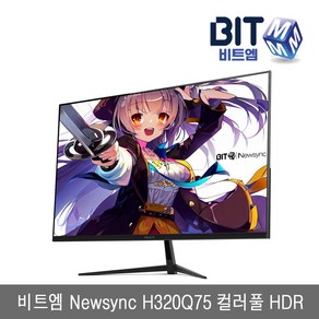 -비트엠- Newsync H320Q75 32인치 QHD 컬러풀 HDR 광시야각 무결점