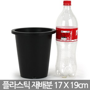 플라스틱 녹차 재배분 16 X 16cm - 화분 플분 양란 난화분 란화분 난재배분 양란화분 난재배 녹차재배분 긴화분, 03_청운_재배분(6호)