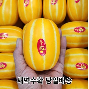 [산지직송 당도선별] 성주 꿀 참외 [혼합/꼬마/중과/대과] 선물용 로얄과 2kg 3kg 5kg 10kg, 1개, 05. 꼬마 2kg