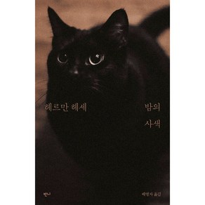 밤의 사색, 헤르만헤세, 반니