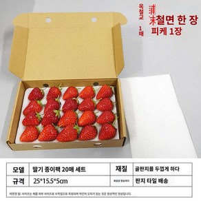 딸기 택배 박스 소량 충격 포장 완충제 포장용기 케이스 상자, 압축방지케이스+방진브라켓20알+스펀지패드트, 1개