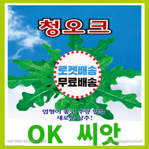 [OK씨앗] [청오크] 오크씨앗 종자(오케이씨앗), 1개