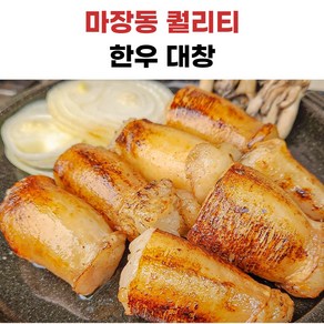 당일도축 한우 소대창