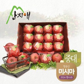 산지애 햇사과 미시마 3kg, 1개