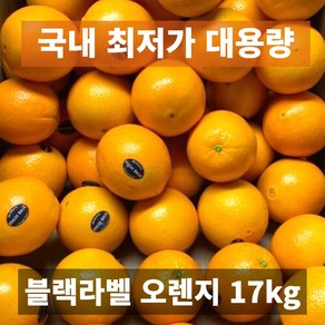 도매가 금메달농수산 직수입 블랙라벨 대용량 오렌지 업소용 카페, 1개, 113과 17kg내외