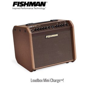 피쉬맨 라우드박스 미니 차지 60W Fishman Loudbox Mini Chage, 1개