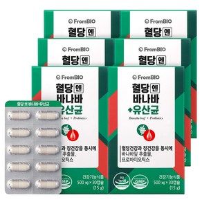 프롬바이오 혈당엔 바나바+유산균 30캡슐x6박스/6개월, 6박스, 30정
