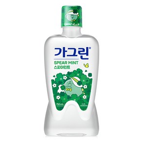 가그린 죠르디 에디션 스피아민트 구강청결제, 750ml, 1개