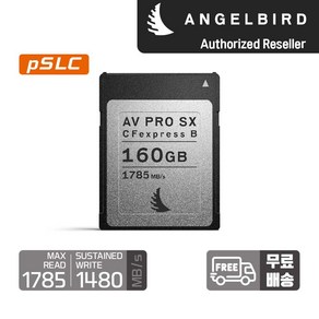 엔젤버드 AV PRO CFexpess SX Type B 160 GB, 상세페이지 참조, 1개