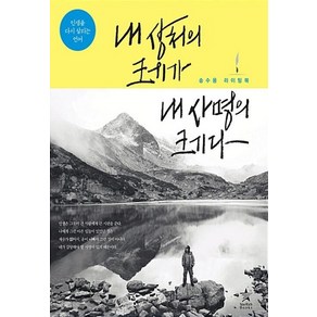 내 상처의 크기가 내 사명의 크기다:인생을 다시 살리는 언어  송수용 라이팅 북, 스타리치북스