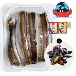 [당일조업] 통영 자연산 손질바다장어 2kg(4~6미)+홍합1kg 무료증정, 1개, 1kg 대사이즈 (1~3미), 1개