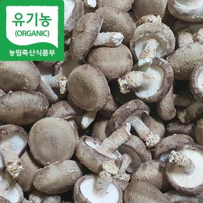 [해담은농장] 유기농 생표고버섯 1kg, 1개, 향신1kg