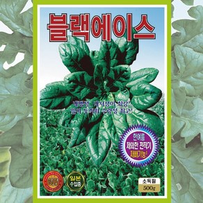 시금치씨앗 블랙에이스시금치 500g 전문가용 고급종 시금치종자 일본 수입종, 1개