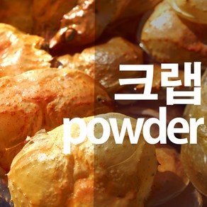 크랩가루 대게껍질 DIY용 분말 파우더, 100g, 1개, 1개입