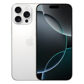 Apple 정품 아이폰 16 Po Max 자급제, 화이트 티타늄, 256GB