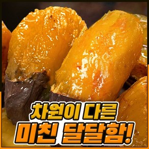 [해남직송] 달콤한 꿀 고구마 밤 호박, 특상 5kg, 1개