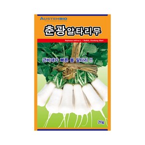 알타리무씨앗 춘광알타리무 20g 비대력 우수 조생종, 1개