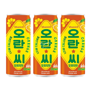 오란씨 오렌지 250ml