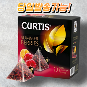 커티스 썸머 베리 과일티(라즈베리) 삼각티백 SUMMER BERRIES, 1개, 20개입, 34g