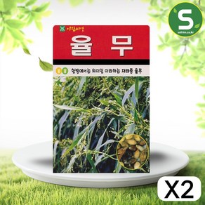 솔림텃밭몰 율무씨앗 50립 율무 가정에서 수확가능 재래종 약초, 2개