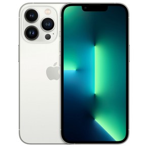 Apple 아이폰 13 Po 자급제, 실버, 128GB