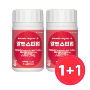 [공식] 알부스터업 먹는 알부민 정 유산균 발효굴추출물, 2개, 90정