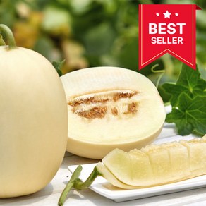 [전문가추천] 달콤한 백자멜론 함안 가야 백자메론, 1개, 1.5kg